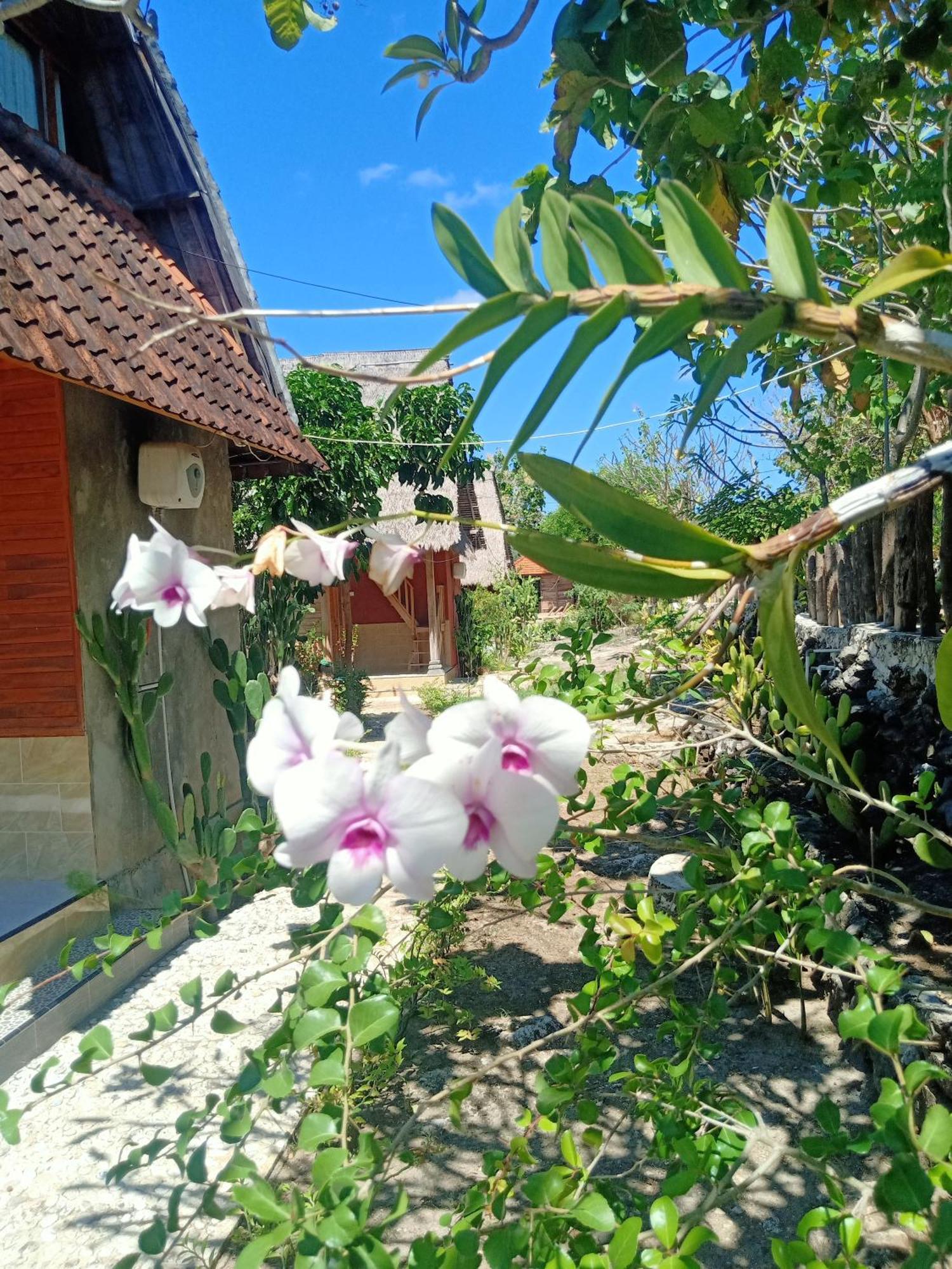 The Somayan Bungalows Batununggul Kültér fotó